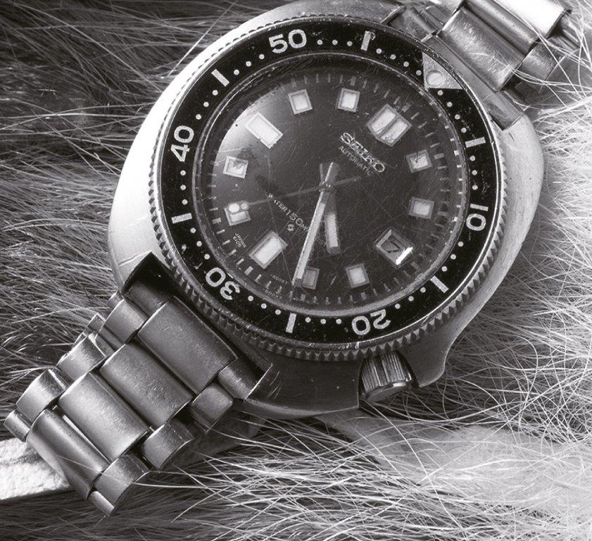 Seiko store expedition watch