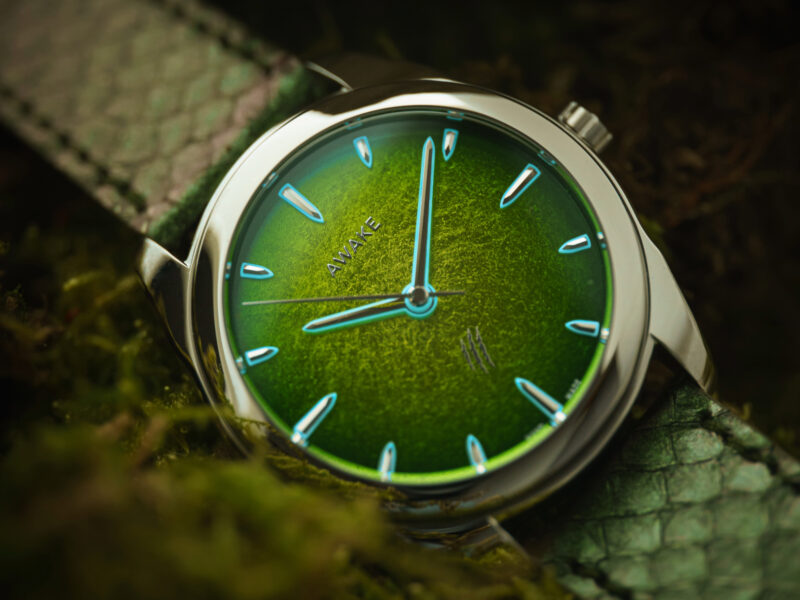 AWAKE JURASSIC RAPTORS WATCH