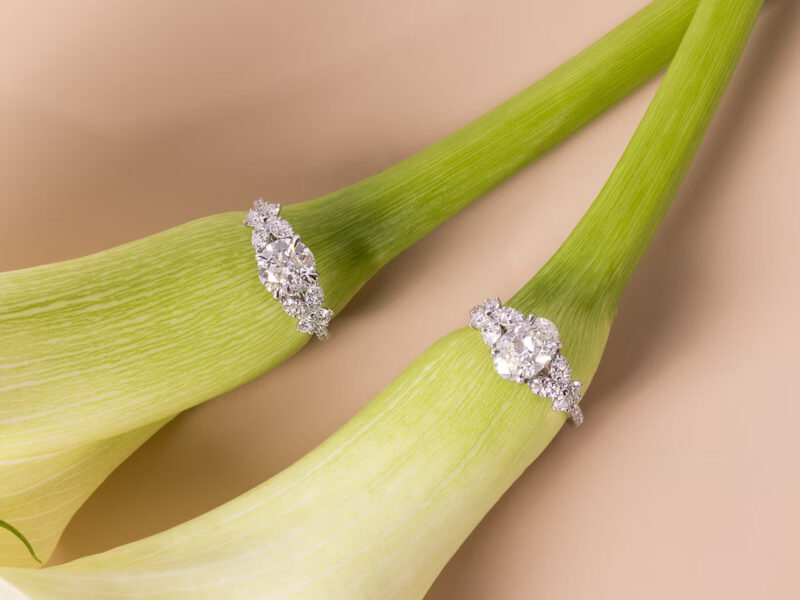VRAI coins world’s first lab-grown diamonds backed by Bitcoin