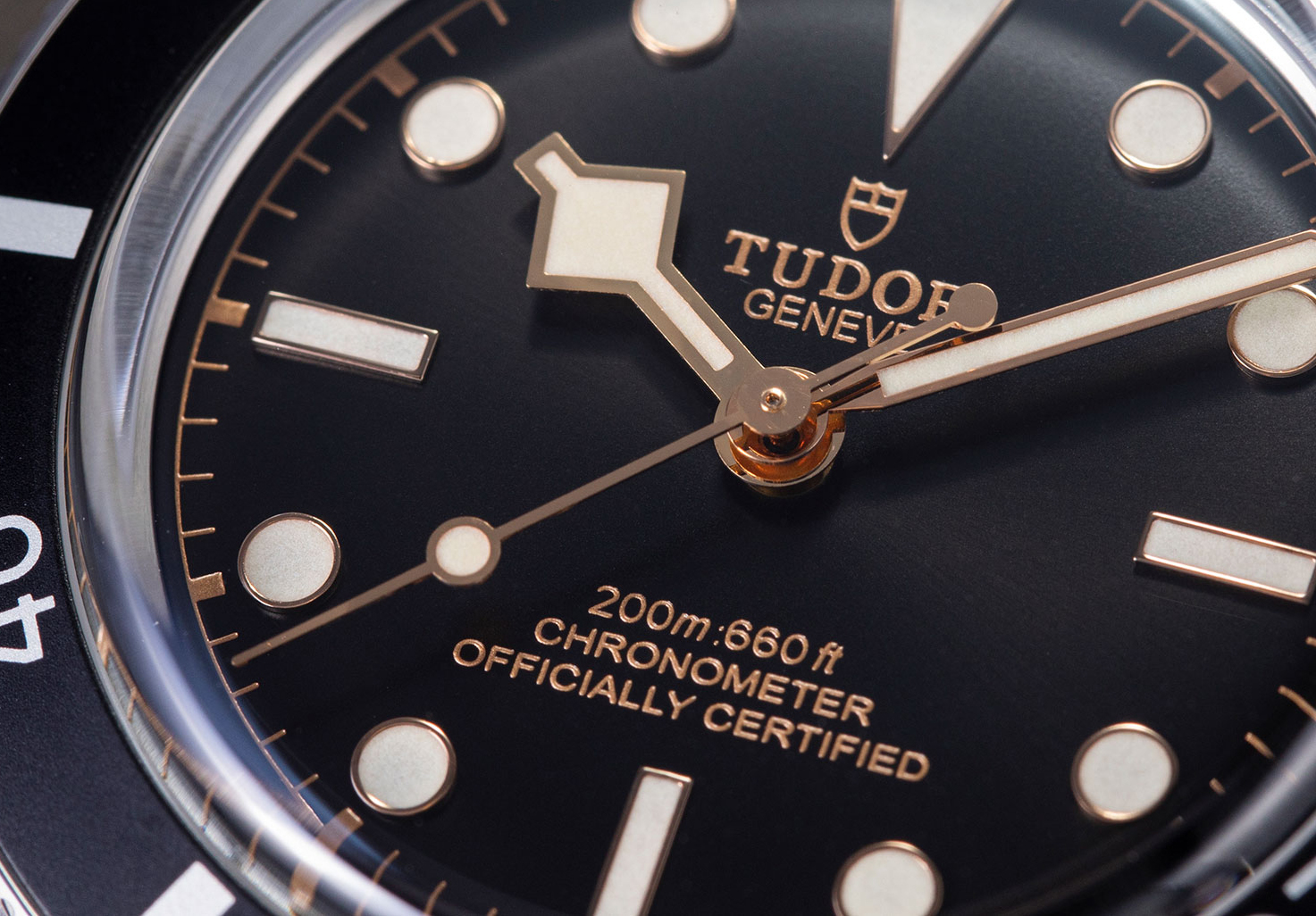 Tudor limits 2026 price rises to 4-8%